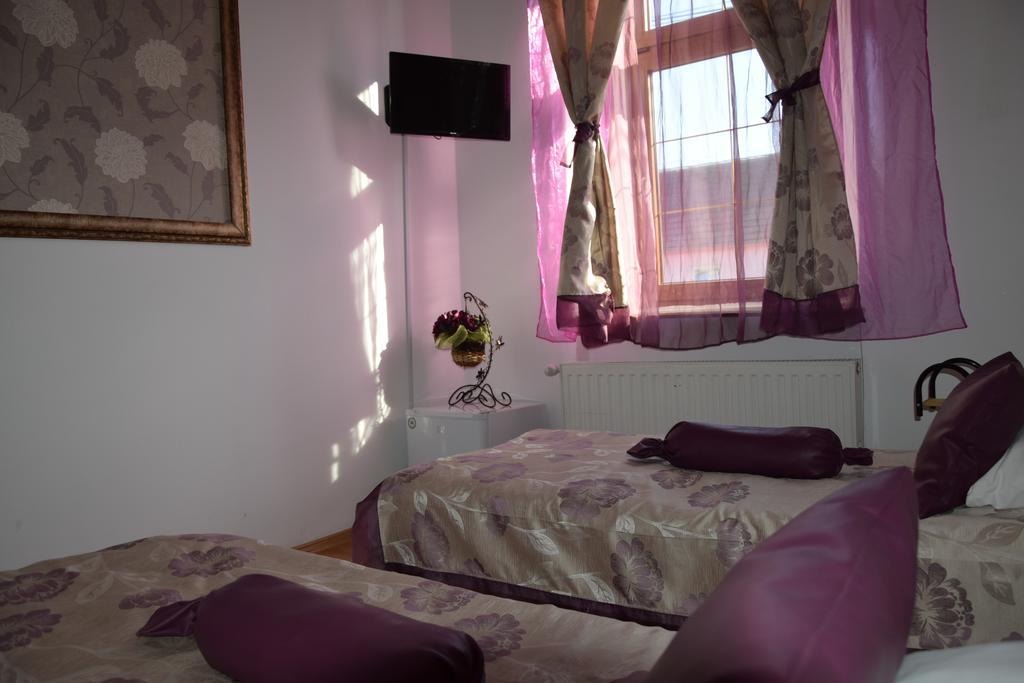 Pensiunea Gia Sighișoara Zewnętrze zdjęcie